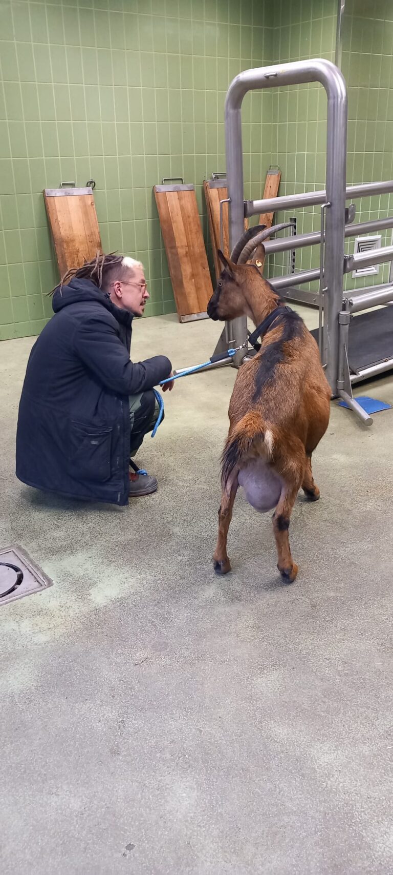 Österreichischer Tierschutzverein-Spendenprojekt: Heidi musste in der Tierklinik behandelt werden.