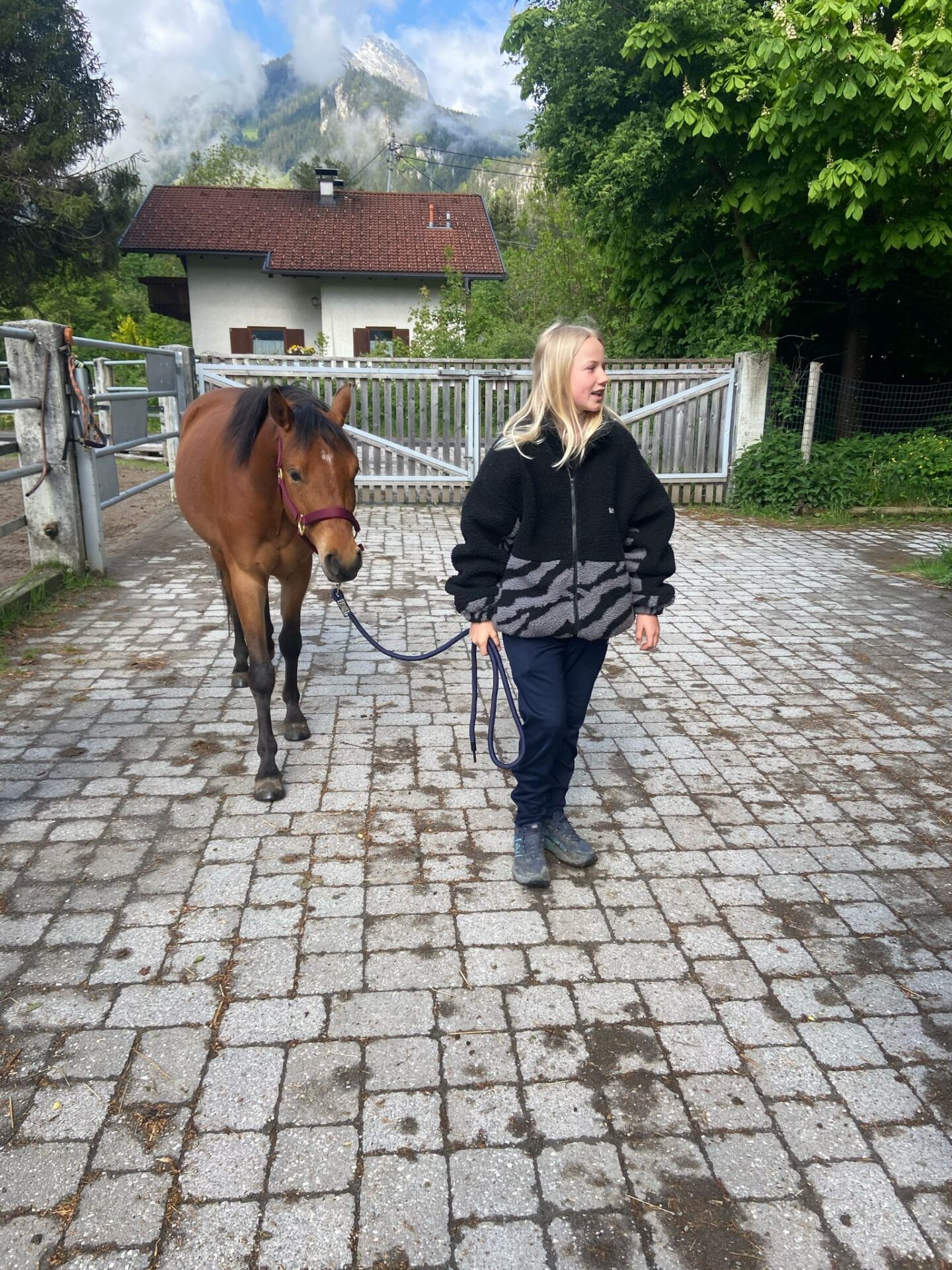 WhatsApp Bild 2025 05 18 um 10.12.25 4d4e710b Österreichischer Tierschutzverein