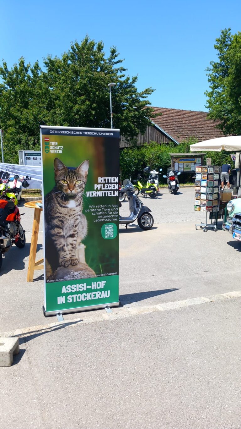 Österreichischer Tierschutzverein - Anlassspenden: Hilf mit deinem Event Tieren in Not