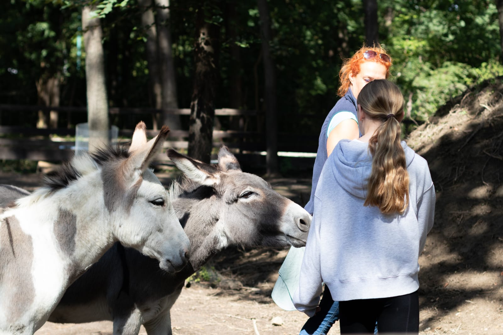 Österreichischer Tierschutzverein-Events: Kinder und Tiere