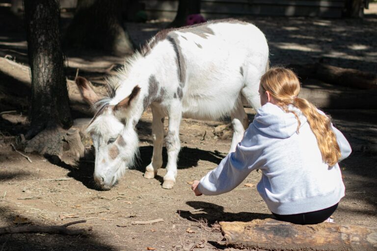 Österreichischer Tierschutzverein-Events: Kinder und Tiere