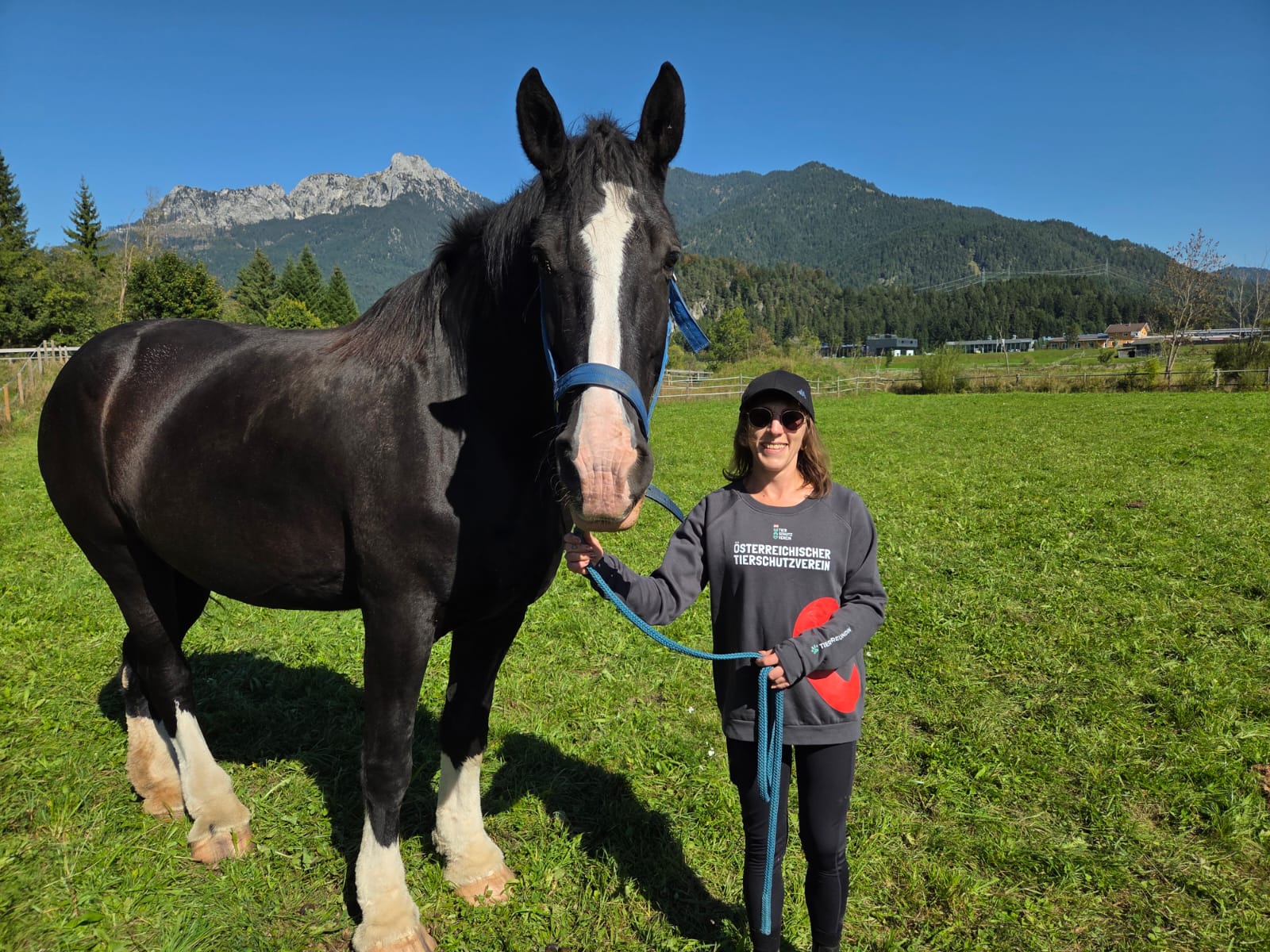 Österreichischer Tierschutzverein-Teammitglieder: Isabella Hesche