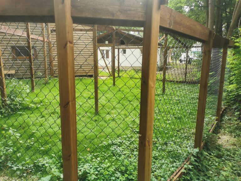 Österreichischer Tierschutzverein-Spendenkampagne: Ausbau Assisi-Hof Stockerau