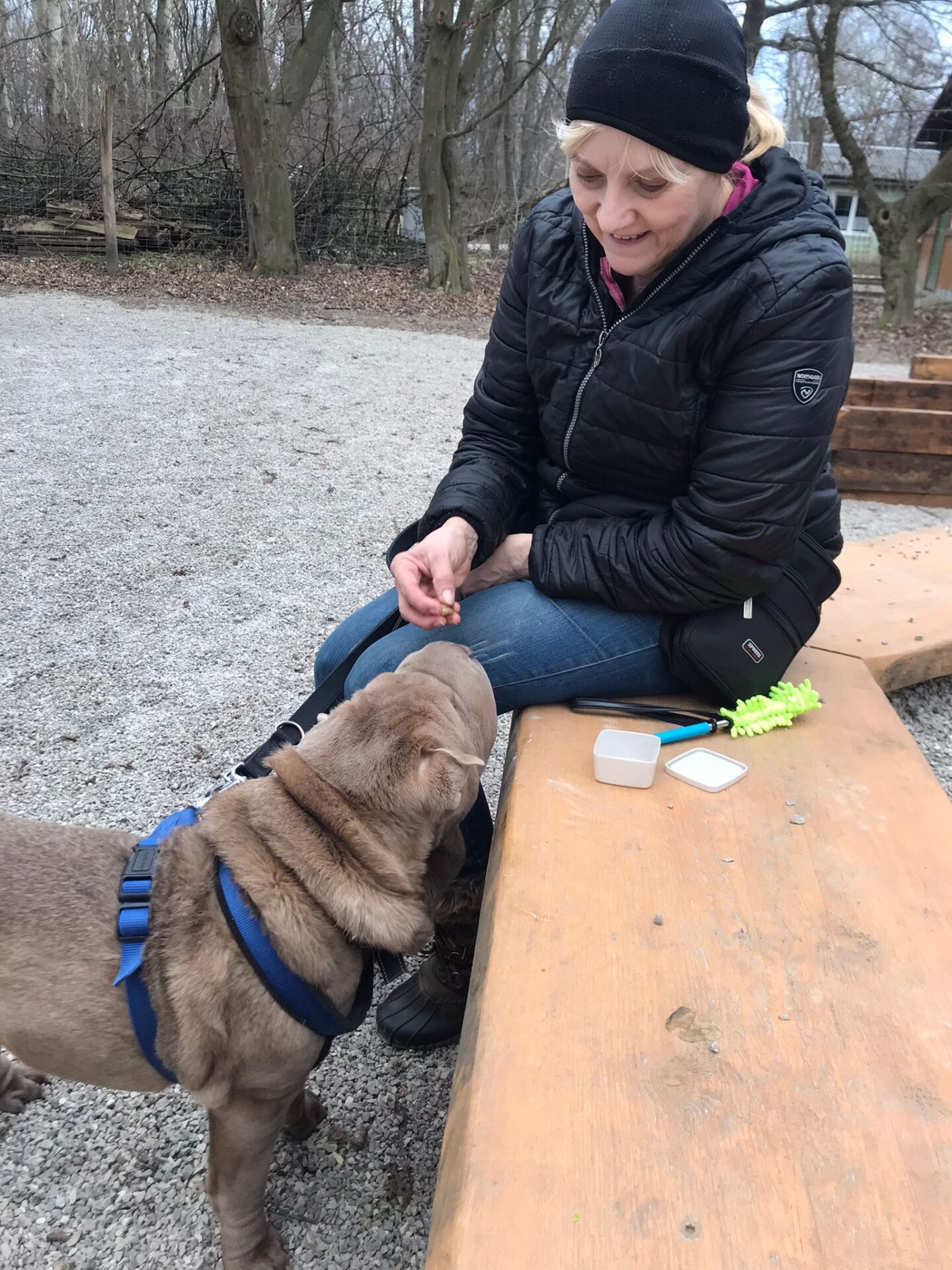 Österreichischer Tierschutzverein Österreichischer Tierschutzverein-Happy Ends: Emilio