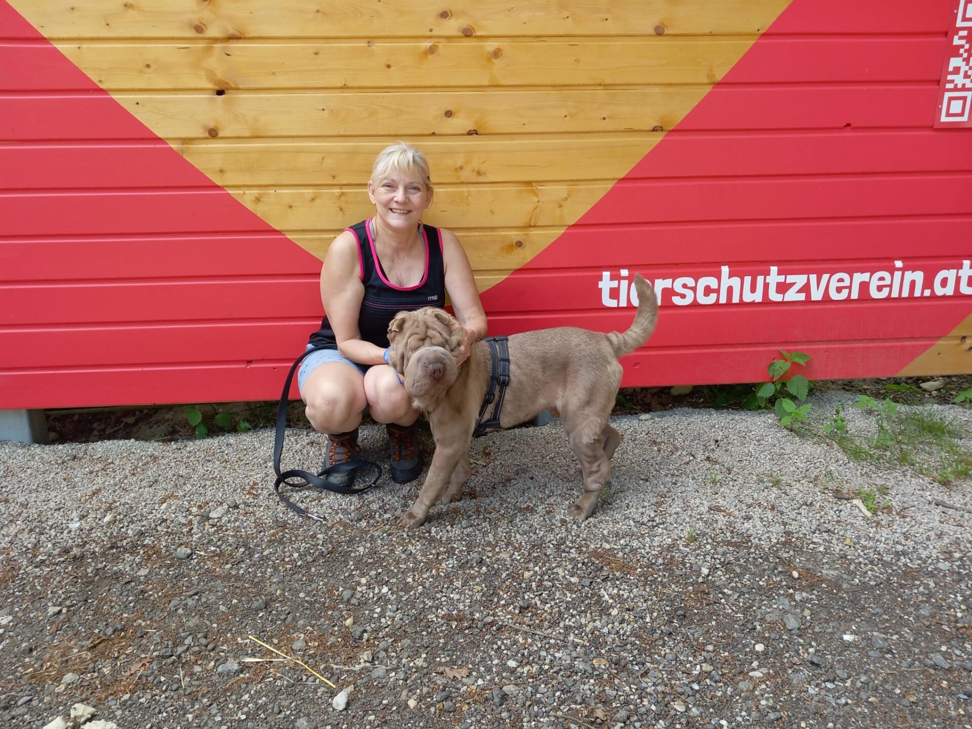 Österreichischer Tierschutzverein Österreichischer Tierschutzverein-Happy Ends: Emilio