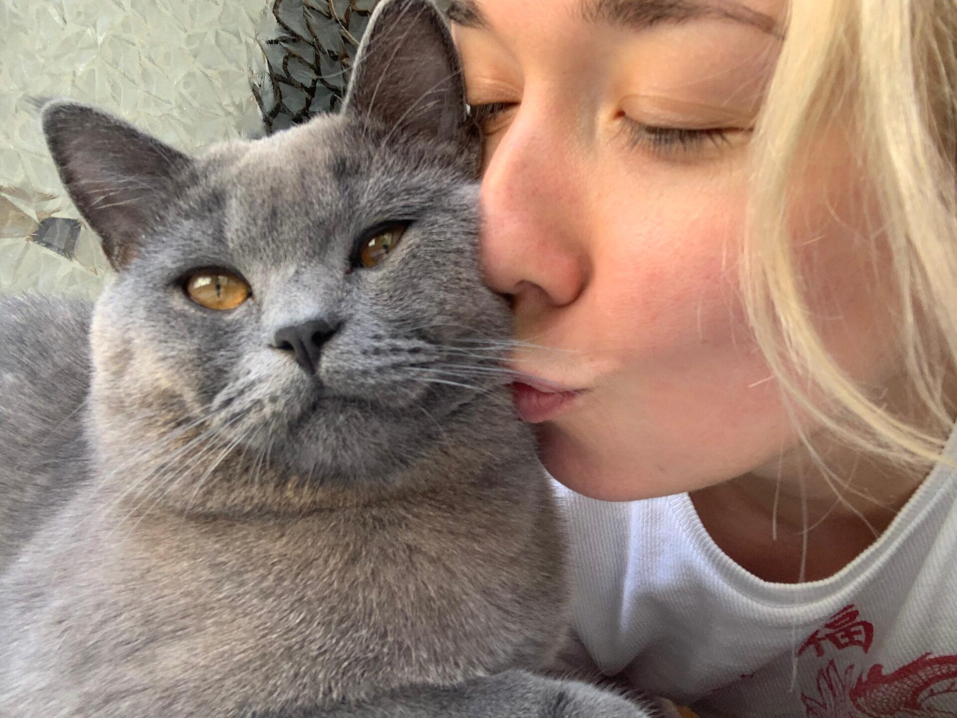 Österreichischer Tierschutzverein Österreichischer Tierschutzverein-Happy Ends: Merlin