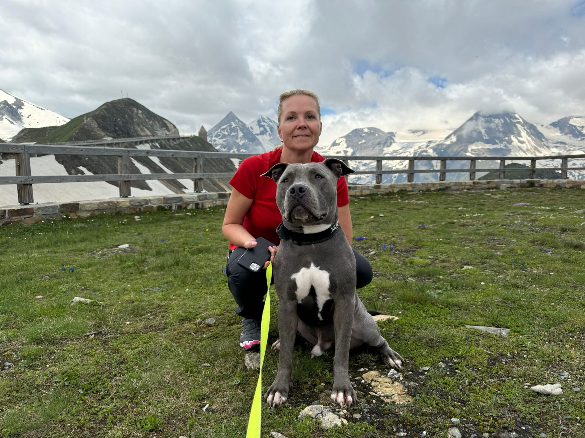 Österreichischer Tierschutzverein Österreichischer Tierschutzverein-Happy Ends: Tobi