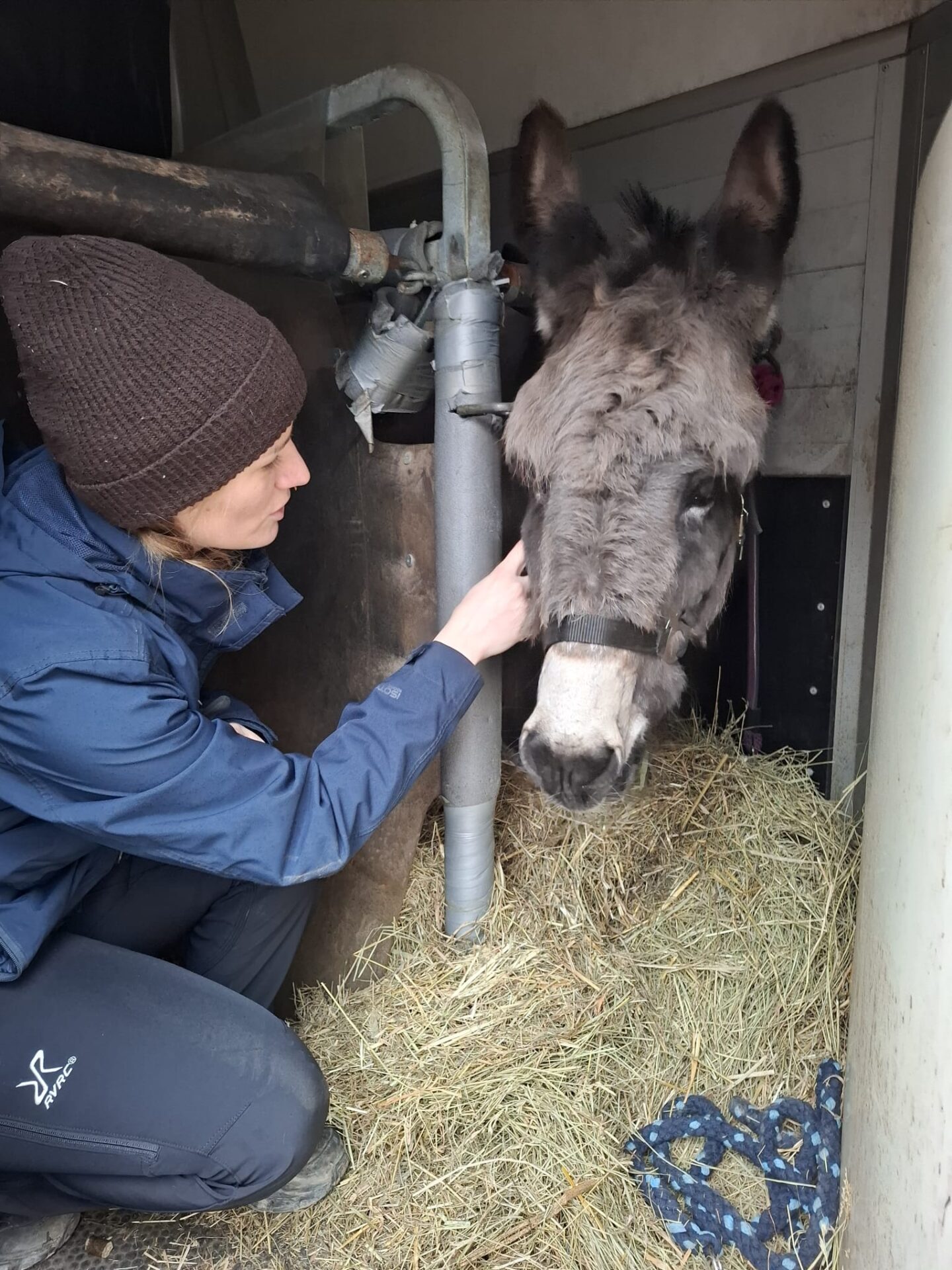 Mary Weg in die Vedtmed © Österreichischer Tierschutzverein