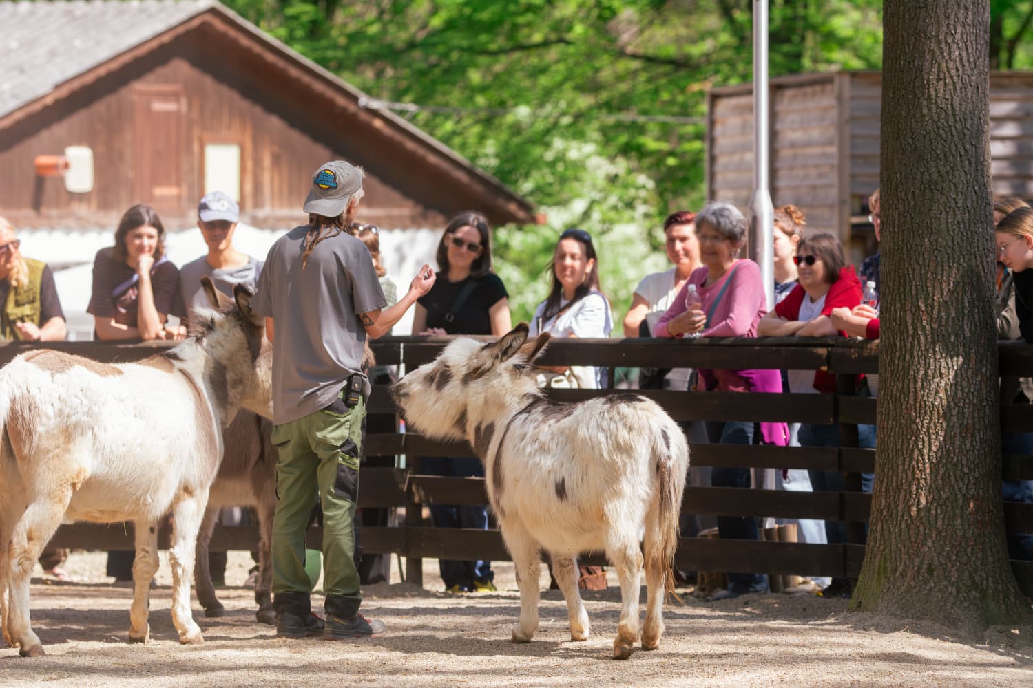Österreichischer Tierschutzverein Tag der offenen Tür 1 © Österreichischer Tierschutzverein