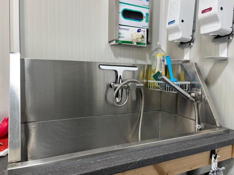 Österreichischer Tierschutzverein-Spendenkampagne: Ausbau Assisi-Hof Stockerau