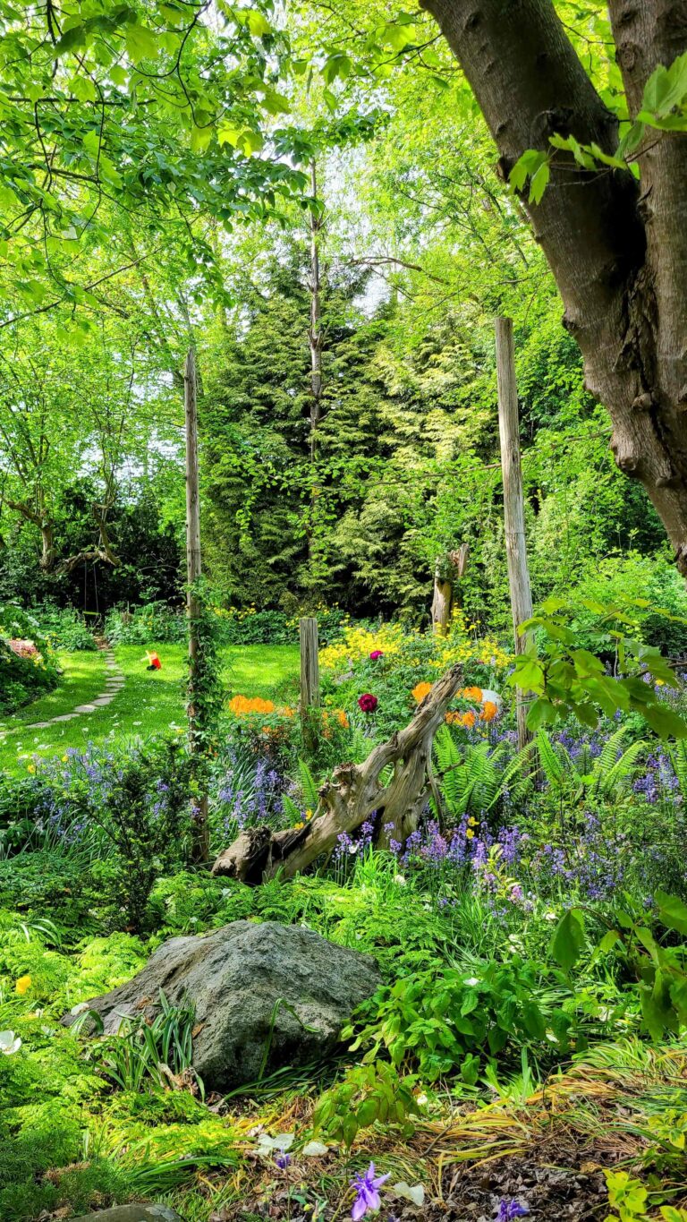 Wilde Gartenecke pexels afsar