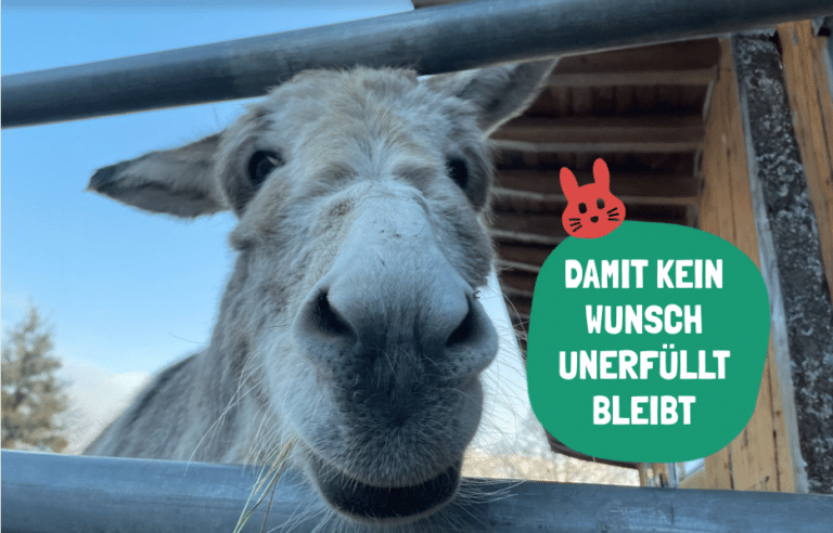 Österreichischer Tierschutzverein-PFC Ostern-Headerbild