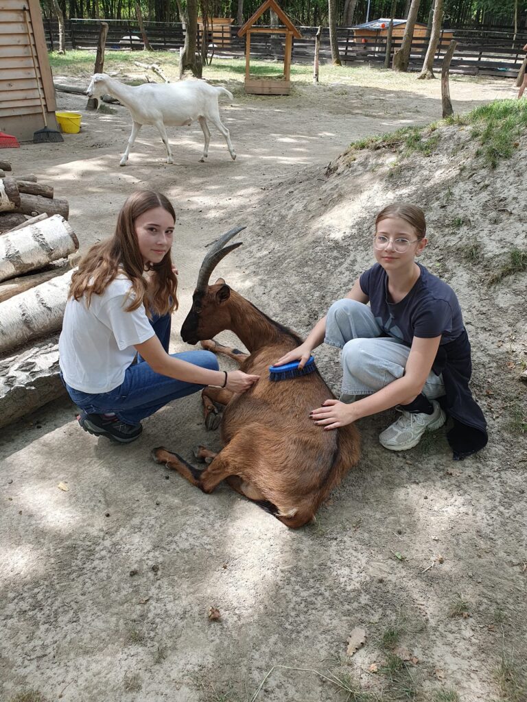 Ziegenpflege © Österreichischer Tierschutzverein