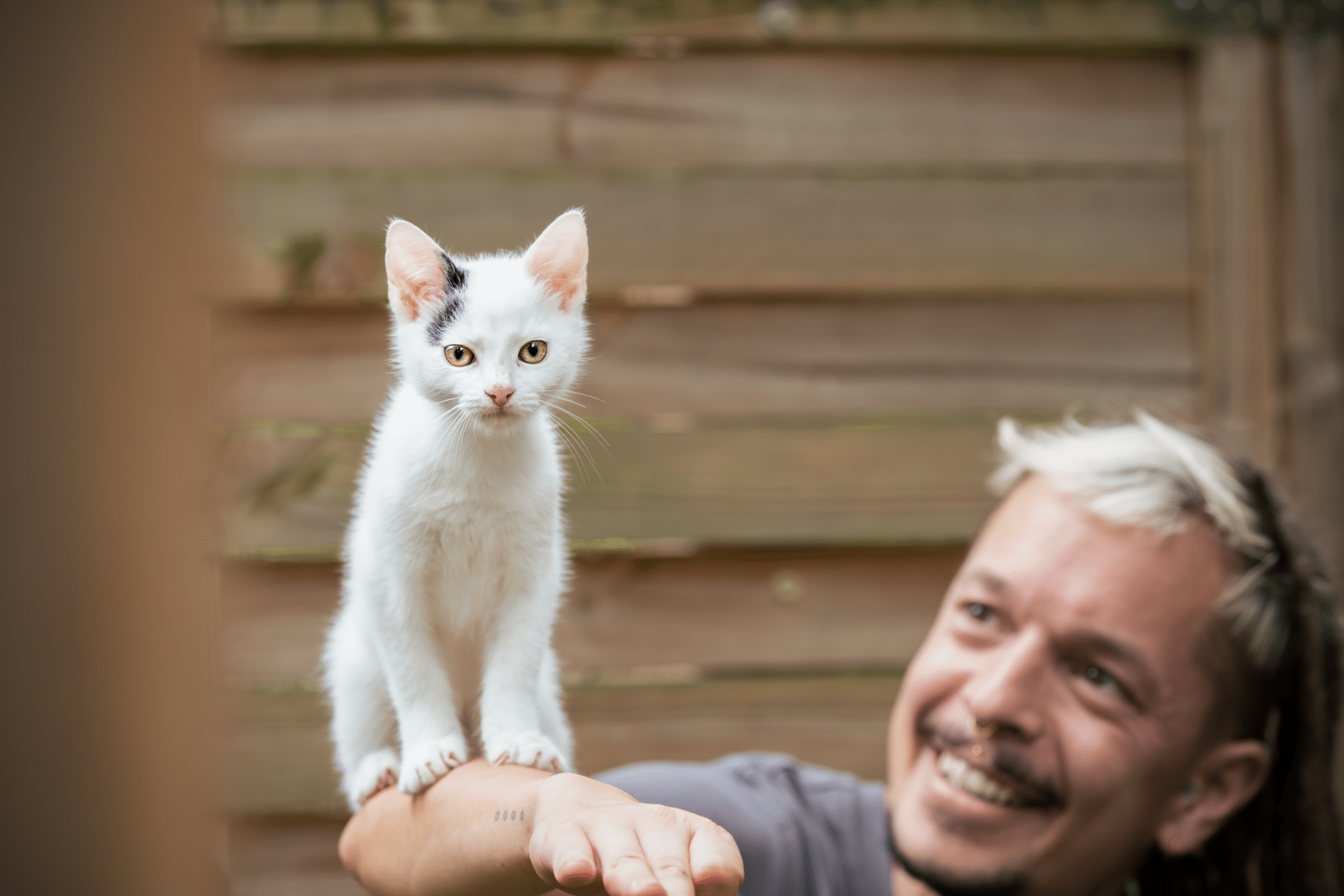 geschenk2 Österreichischer Tierschutzverein