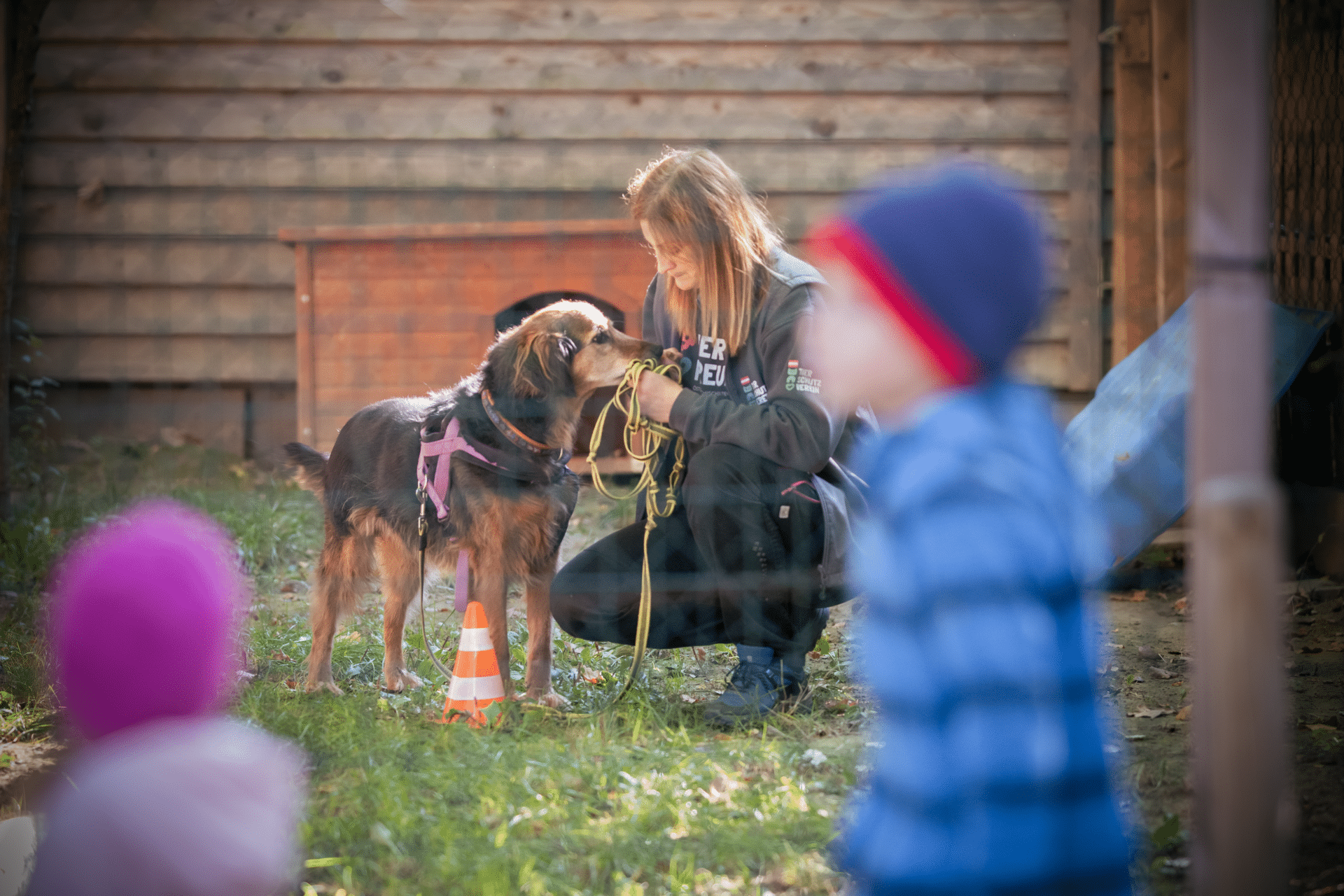 Österreichischer Tierschutzverein hund2 1 Österreichischer Tierschutzverein