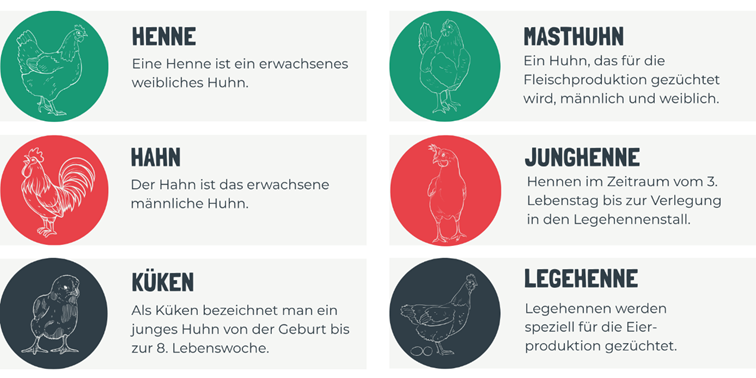 image Österreichischer Tierschutzverein