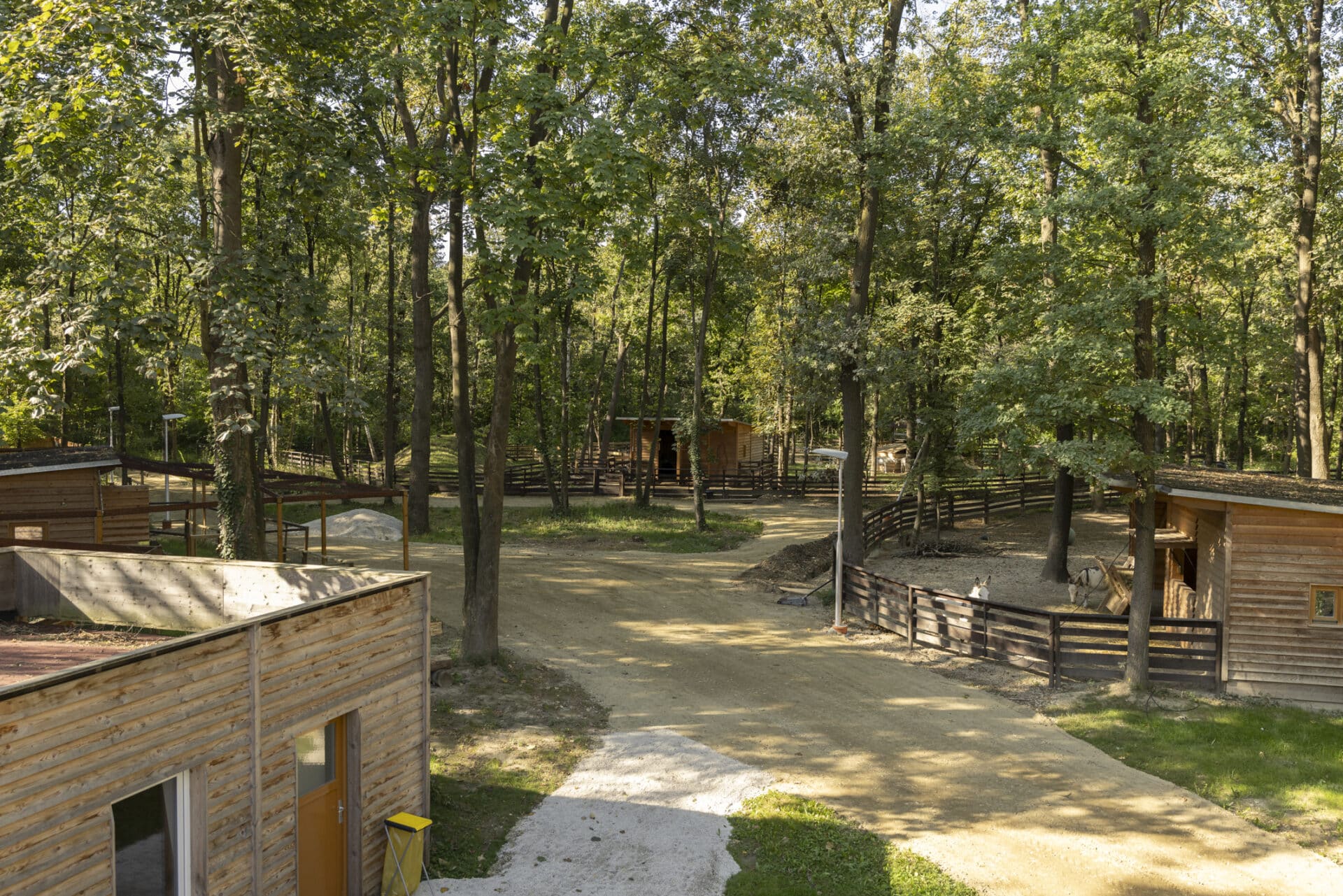 stockerau1 Österreichischer Tierschutzverein