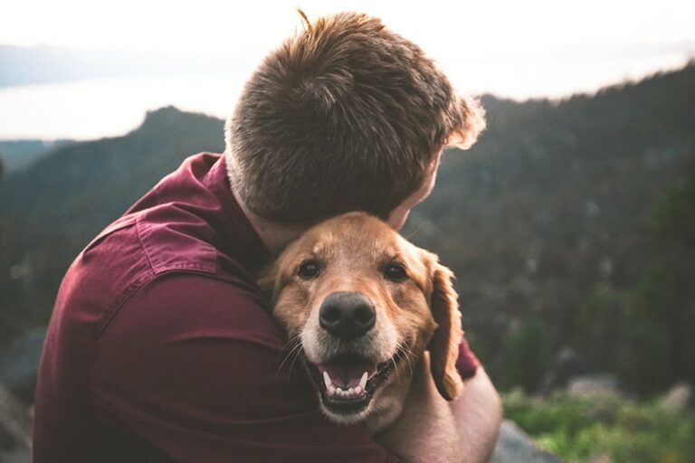 Österreichischer Tierschutzverein - Kranzspenden: Mensch umarmt Hund