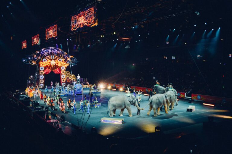 Österreichischer Tierschutzverein - Tierschutzwissen: Wildtiere im Zirkus ist in vielen (EU-) Ländern immer noch Gang und Gäbe.