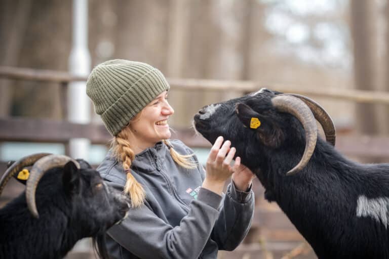 Österreichischer Tierschutzverein-Events: Tag der offenen Tür